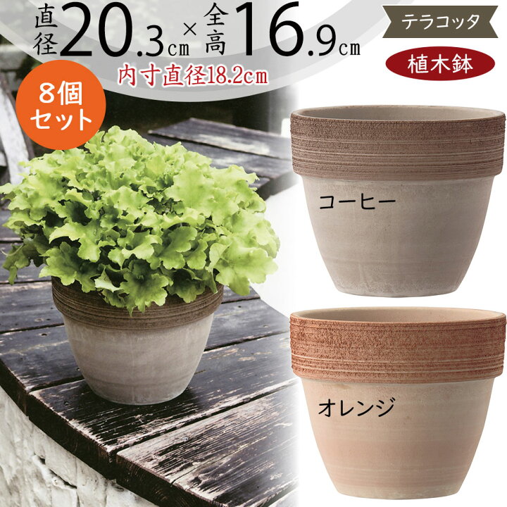 楽天市場】テラコッタ 植木鉢 おしゃれ 人気 プランター おすすめ 観葉 