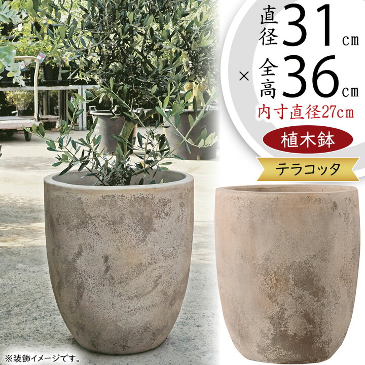 楽天市場】テラコッタ 植木鉢 大型 おしゃれ 人気 プランター おすすめ 
