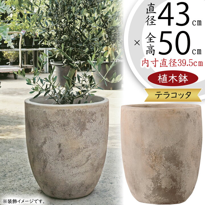 楽天市場】テラコッタ 植木鉢 大型 おしゃれ 人気 プランター おすすめ