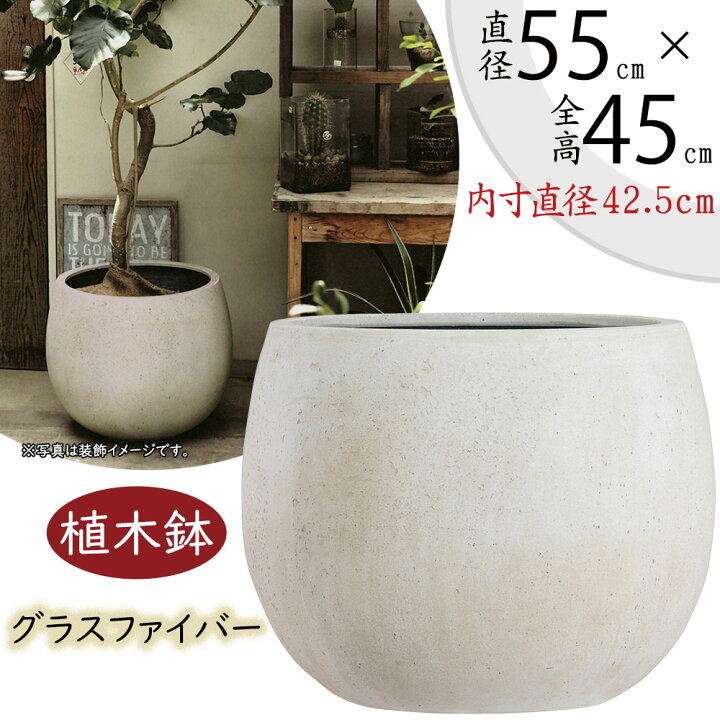 楽天市場】植木鉢 大型 おしゃれ 人気 プランター FRP 園芸鉢 観葉鉢 