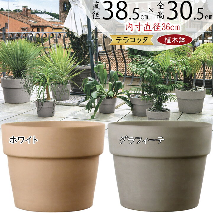 楽天市場】植木鉢 大型 テラコッタ おしゃれ 人気 おすすめ プランター 