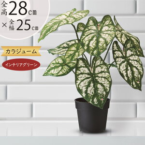 JWE JW[  tFCNO[  lC A  CeAO[ lHϗtA  lH A[gO[ IuWF { CeA Mt