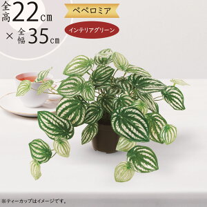 tFCNO[ ^  lC  A CeAO[ yy~A   ϗtA lHϗtA lH  IuWF CeA e[uTCY TC