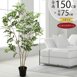 tFCNO[  lC A  glR V}glR CeAO[  lHϗtA lH A[gO[ IuWF ^ 傫  rO ItBX V