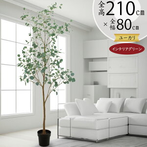 [J tFCNO[ ^  lC ϗtA CeAO[ A lHϗtA   A[gO[ A[gvc CeA Ƌ IuWF [J̖ fB