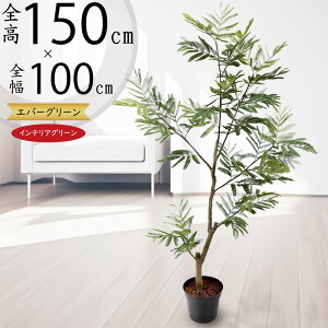 tFCNO[ lmL l̖ ˂ނ̖  A CeAO[ lHϗtA  A[gO[ CeA  Mtg Vzj JXj j  t I