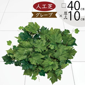 lH lC   lHŐ A }bg DIY tFCNO[ lHϗtA CeAO[ A[gO[  K[f t[AWg WCg O[v