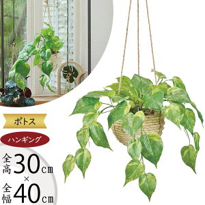 tFCNO[ nMO v^[  lC  CeAO[ ϗtA A lHϗtA  CeA |bg t Aؔ Jo[ | ݂邷 ݂邵 