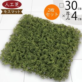 【人工芝】人気 おすすめ おしゃれ 人工芝生 モス 苔 こけ コケ moss 口30cm リアル マット DIY フェイクグリーン 人工観葉 インテリアグリーン アートグリーン 造花 ガーデン フラワーアレンジメント 和風 庭園 日本イメージ 壁面 天井 廊下 ディスプレイ 水やり不要 diy