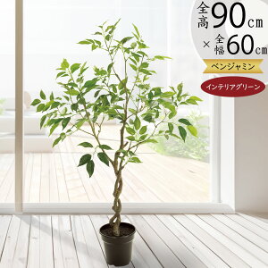 tFCNO[  ϗtA A lC  CeAO[ CeA  A[gO[ tBJX xW~ xW~i lHϗtA lH IuWF 