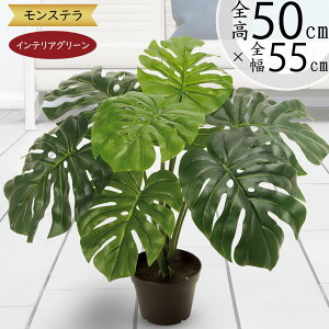 tFCNO[ Xe  lC  A CeAO[ ^   lHϗt lH  CeA IuWF { ChAO[  r