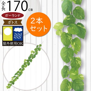 K[h  Op OɂΉ tFCNO[ lC  A |gX CeAO[ lHϗt  c^   ǖ ݂邷 K[f p[eB[ Cxg  