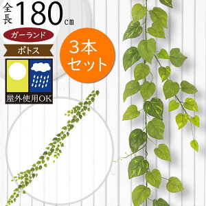 K[h  Op tFCNO[ OɂΉ lC  A |gX CeAO[ lHϗtA  c^   ǖ ݂邷  K[f p[eB[ Cx