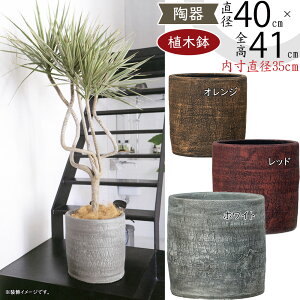 Aؔ ^  lC v^[  |bg  |pi ϗt 픫 ϗtA V_[ ~ ^ ` K[fjO  eX oRj[  唫 傫 傫 