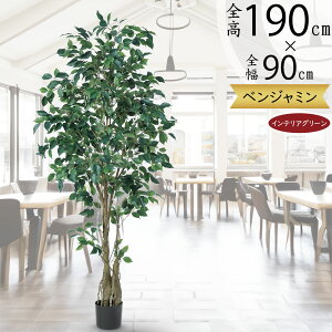 tFCNO[ ^  lC xW~ tBJX xW~i CeAO[ ϗtA lHϗtA  lH A[gO[ CeA IuWF   Mtg 