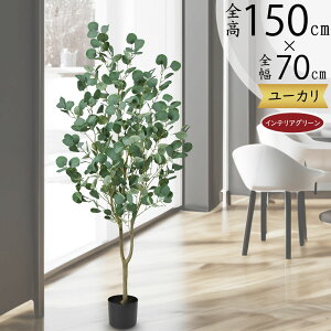 [J tFCNO[  lC ϗtA CeAO[ A lHϗtA lH  A[gO[ A[gvc CeA Ƌ IuWF [J̖ fBX