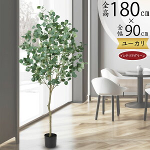 [J tFCNO[ ^  lC ϗtA CeAO[ A lHϗtA   A[gO[ A[gvc CeA Ƌ IuWF [J̖ fB