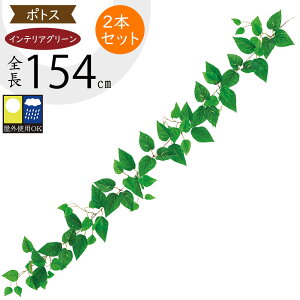 K[h Op UV tFCNO[ ϗtA  CeAO[  lHϗtA A[gO[ A[gvc lC  A   tFX oRj[ t@