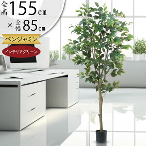 tFCNO[  ϗtA A lC  ^ 傫 傫 CeAO[ CeA  A[gO[ tBJX xW~ xW~i lHϗtA l