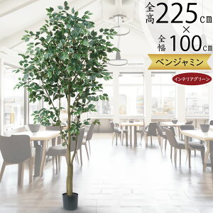 tFCNO[ ^  lC xW~ tBJX xW~i CeAO[ ϗtA lHϗtA  lH A[gO[ CeA IuWF   Mtg 