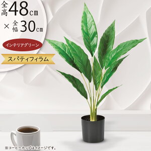 tFCNO[  lC A  CeAO[ ChAO[ lHϗtA lH  A[gO[ ϗtA  CeA Mtg 蕨 IuWF e[