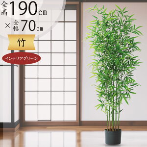 tFCNO[ | ^ ϗtA  CeAO[ A lC  CeA lHϗtA  lH  傫 傫 IuWF A[gO[  ̗t a