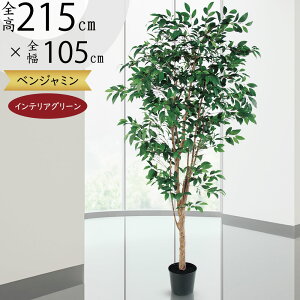 tFCNO[ ^  lC xW~ tBJX xW~i CeAO[ ϗtA lHϗtA  lH A[gO[ CeA IuWF  Mtg 