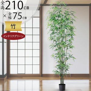 tFCNO[ | ^ ϗtA  CeAO[ A lC  CeA lHϗtA  lH  傫 傫 IuWF A[gO[  ̗t a