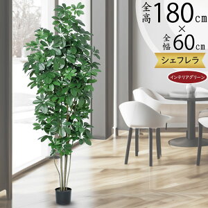 tFCNO[ ^  VFt J|bN lC  A CeAO[ lHϗtA  lH ϗtA A[gO[  CeA IuWF  X 