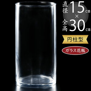 ガラス花瓶 大型 おしゃれ 人気 フラワーベース 花器 花瓶 ガラス花器 ガラス 円柱 筒型 筒形 インテリア 透明 クリア 硝子 花入れ フラワーアレンジメント 花 緑 花束 ブーケ ディスプレイ