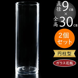 ガラス花瓶 大型 おしゃれ 人気 フラワーベース 花器 花瓶 ガラス花器 ガラス シリンダー 円柱 筒型 筒形 インテリア 透明 クリア 硝子 花入れ フラワーアレンジメント 花 花束 ブーケ ディス