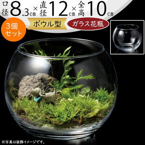 ガラス花瓶 おしゃれ 人気 フラワーベース 花器 花瓶 ガラス花器 ガラス ボウル ボール 丸い 丸形 丸型 円型 円形 インテリア 透明 クリア 硝子 花入れ フラワーアレンジメント ディスプレイ