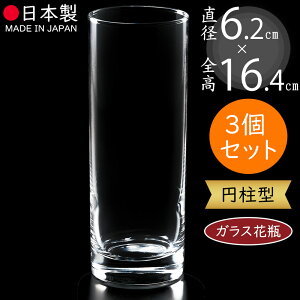 ガラス花瓶 おしゃれ 人気 フラワーベース 国産品 花器 花瓶 ガラス花器 ガラス シリンダー 円柱 筒型 筒形 インテリア 硝子 花入れ フラワーアレンジメント 花束 ブーケ ディスプレイ ギフ