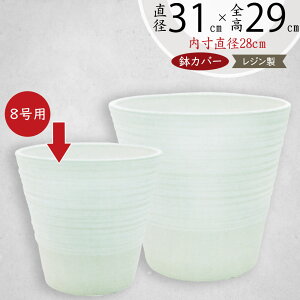 Jo[ v^[Jo[ ^ lC  |bg ϗtA ChAO[ CeAO[  | ϗt e   T ItBX CeA Ƌ Mtg v