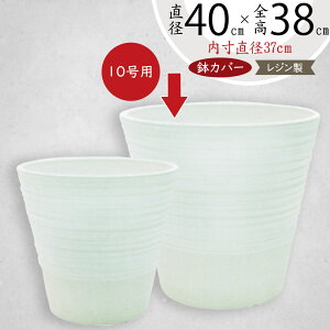 Jo[ v^[Jo[ ^ lC  |bg ϗtA ChAO[ CeAO[  | ϗt e   T ItBX CeA Ƌ Mtg v