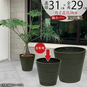 Jo[ v^[Jo[ ^ lC  |bg ϗtA ChAO[ CeAO[  | ϗt e   T ItBX CeA Ƌ Mtg v