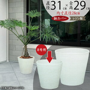 Jo[ v^[Jo[ ^ lC  |bg ϗtA ChAO[ CeAO[  | ϗt e   T ItBX CeA Ƌ Mtg v