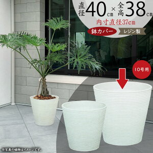 Jo[ v^[Jo[ ^ lC  |bg ϗtA ChAO[ CeAO[  | ϗt e   T ItBX CeA Ƌ Mtg v