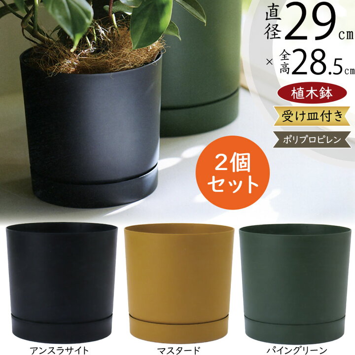 楽天市場】植木鉢 おしゃれ 受け皿付き 人気 おすすめ プランター 