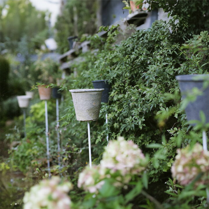 楽天市場】テラコッタ 植木鉢 おしゃれ 人気 プランター おすすめ 観葉 
