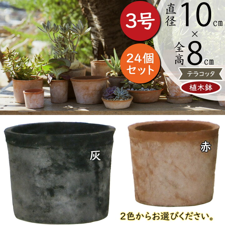 楽天市場】テラコッタ 植木鉢 小型 おしゃれ 人気 プランター おすすめ 
