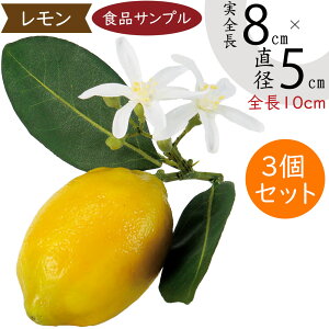 HiTv  lC A EG  }t tFCNt[h  ʕ ʎ  xW^u T_   AWg fBXvC e[uR[fBl[g  ͌^ 