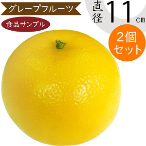 HiTv O[vt[c lC A tFCNt[h ʕ t[c   D] t[AWg fBXvC e[uR[fBl[g  Hi͌^  X 