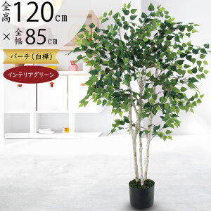 tFCNO[  lC  A ϗtA  ̖ VJo VJo CeAO[ CeA  A[gO[ lHϗtA lH i   