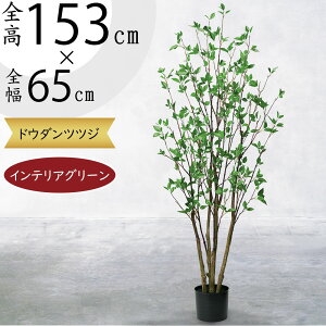 hE_ccW  tFCNO[ ^ lC CeAO[ lHϗtA  ϗtA A[gvc A[gO[ CeA IuWF Ƌ  rO X It