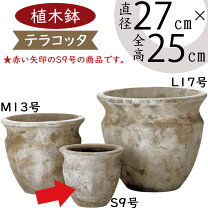 楽天市場】壺（種類（植木鉢）スタンダード鉢）（植木鉢｜植木鉢 