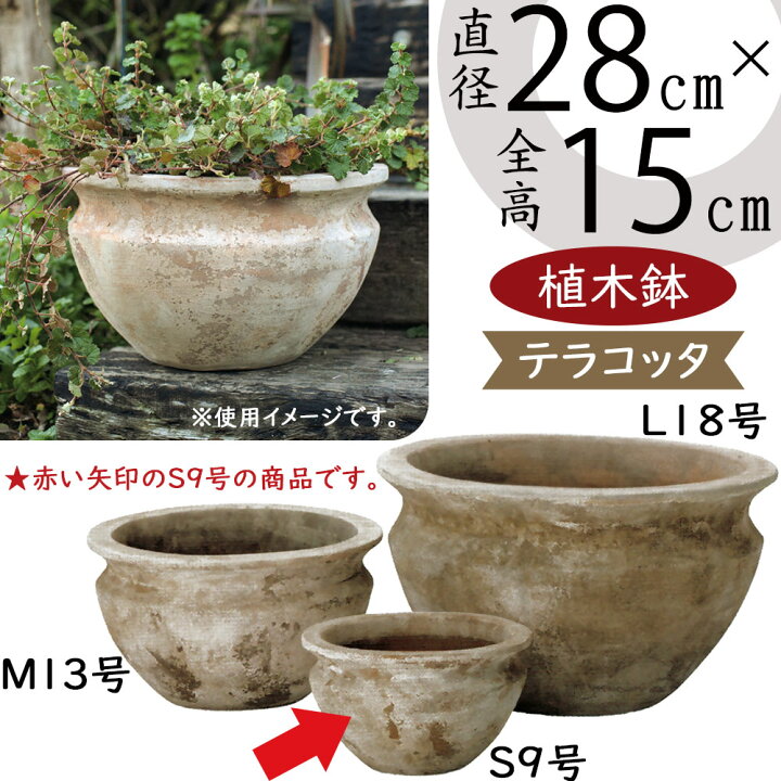 楽天市場】テラコッタ 植木鉢 大型 おしゃれ 人気 プランター おすすめ 