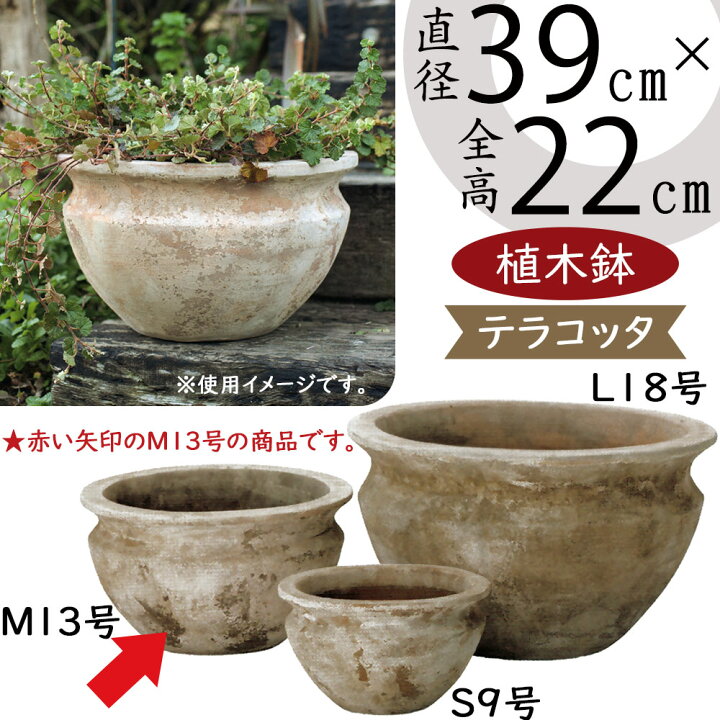 楽天市場】テラコッタ 植木鉢 大型 おしゃれ 人気 プランター おすすめ 
