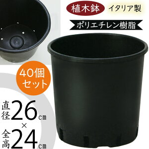 Aؔ  v^[ lC  ubN C^A |bg ϗt | Jo[ e |pi K[fjO A    y y ^t v _  Ɩp i