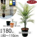 【フェイクグリーン】【屋外対応】おしゃれ 大型 観葉植物 アレカヤシ 全高1.8m 鉢付き 特大 インテリアグリーン インドアグリーン インテリア 造花 オブジェ 人工観葉植物 人工樹木 人工 植物 樹木 ヤシ ヤシ類 ヤシの木 屋外 室内 人気 おすすめ 高品質 リアル ギフト 贈答